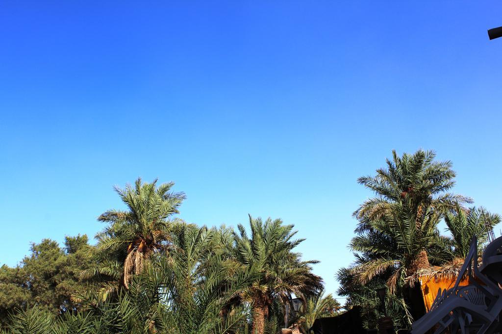 Kasbah Les Alizes Du Desert 姆哈米德 外观 照片