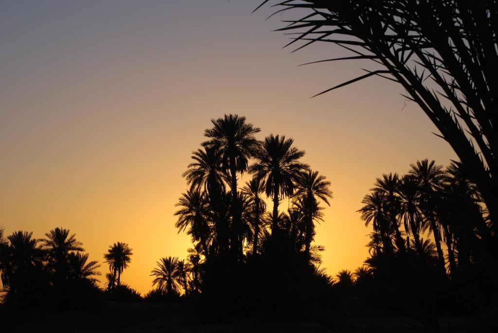 Kasbah Les Alizes Du Desert 姆哈米德 外观 照片