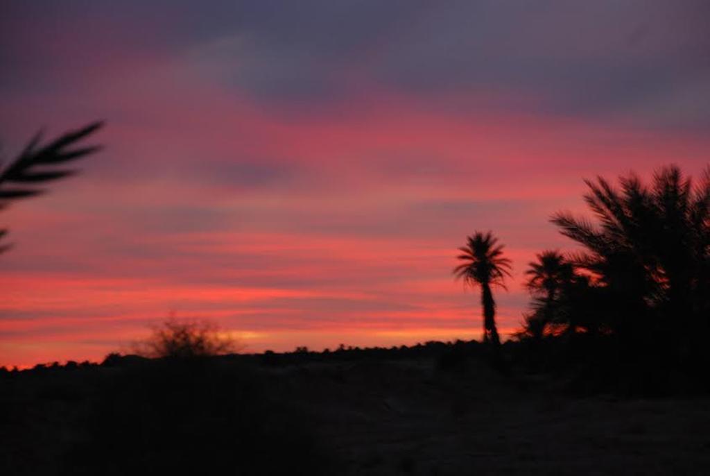 Kasbah Les Alizes Du Desert 姆哈米德 外观 照片