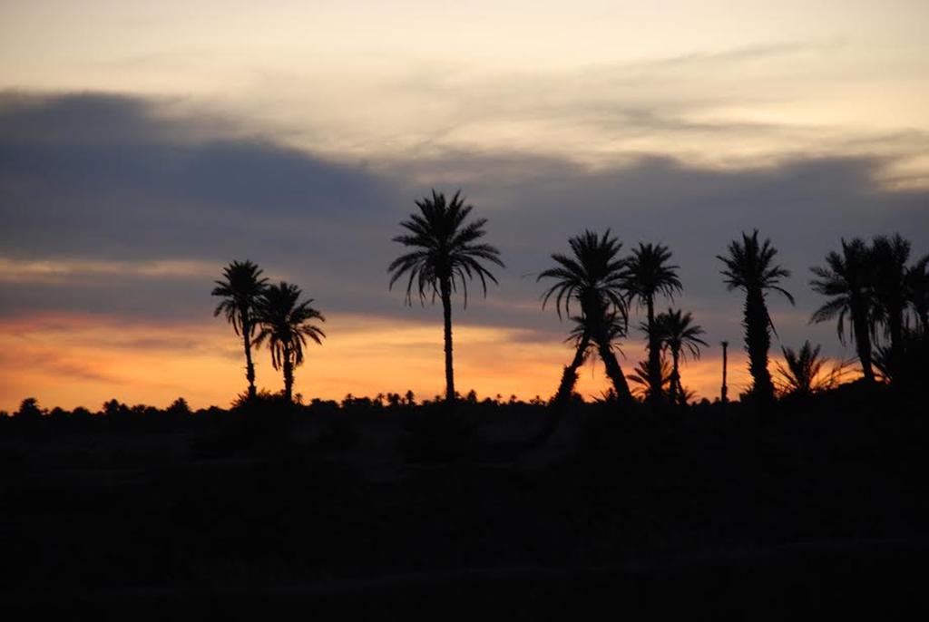Kasbah Les Alizes Du Desert 姆哈米德 外观 照片