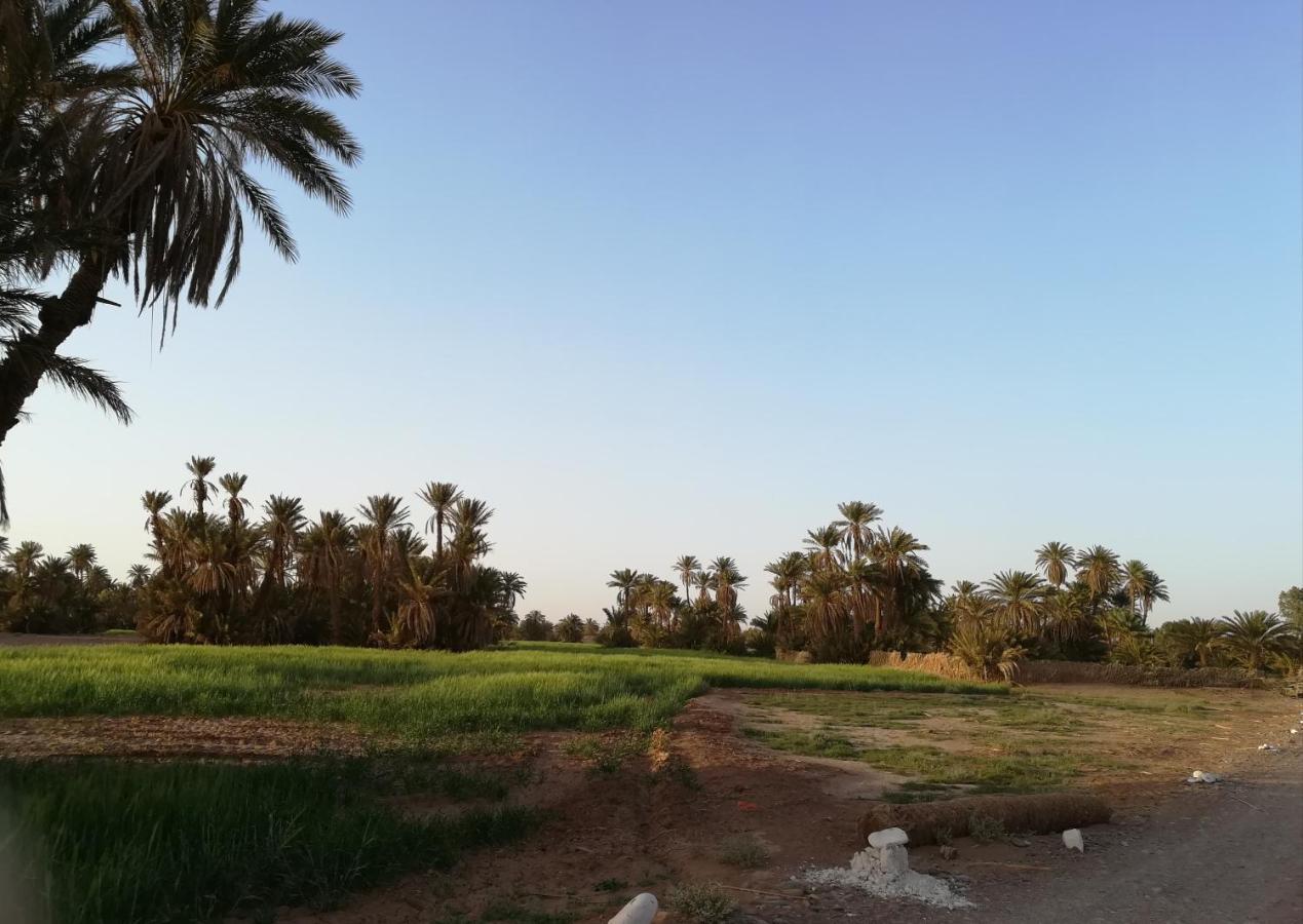 Kasbah Les Alizes Du Desert 姆哈米德 外观 照片