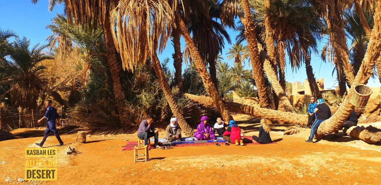 Kasbah Les Alizes Du Desert 姆哈米德 外观 照片