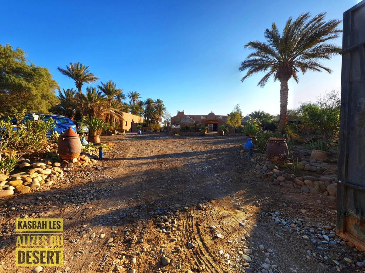 Kasbah Les Alizes Du Desert 姆哈米德 外观 照片
