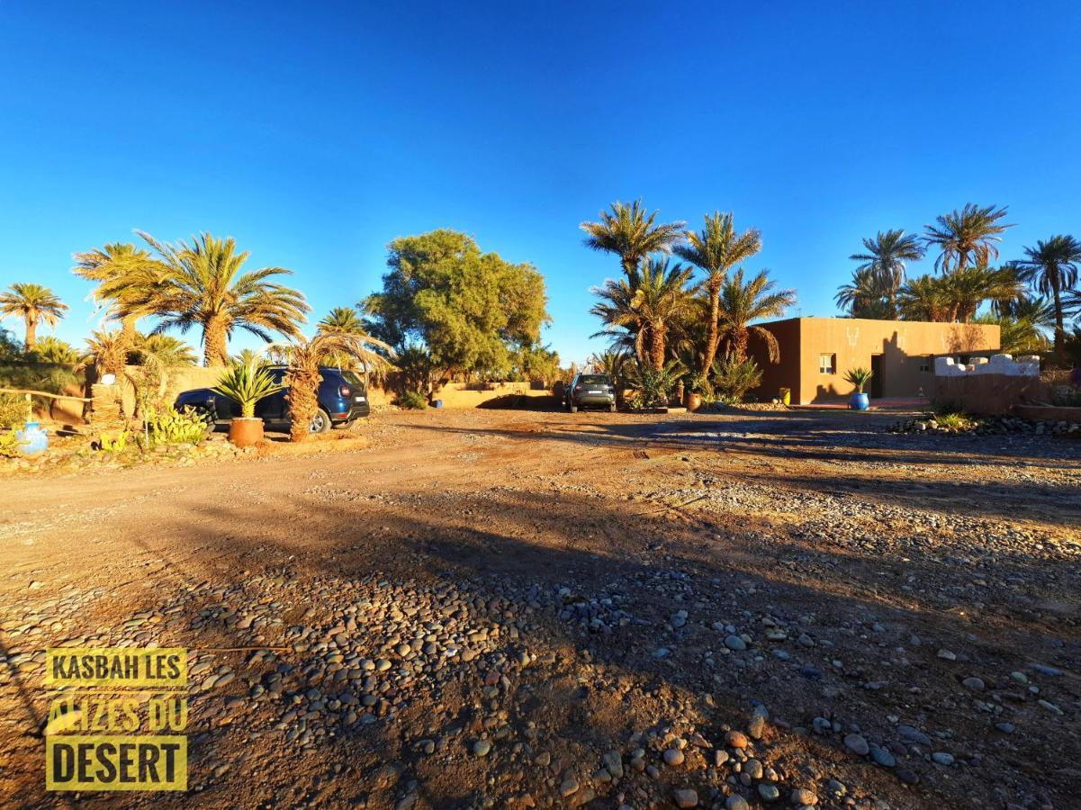 Kasbah Les Alizes Du Desert 姆哈米德 外观 照片